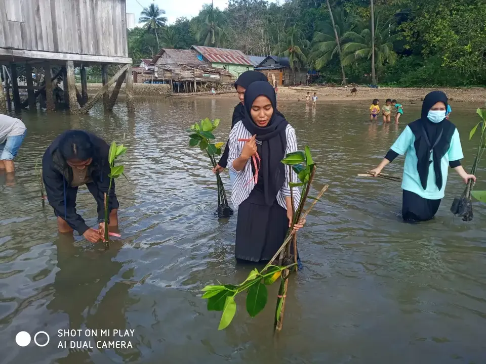 Gandeng Empat Perusahaan BUMN, Hippmala Tanam 2.000 Mangrove di Desa Wawobungi