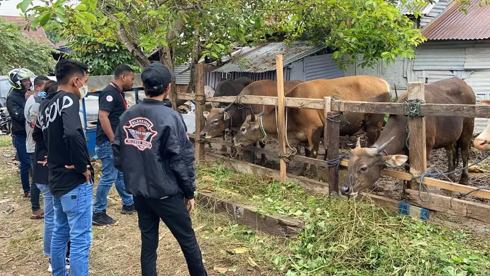 Komunitas di Baubau Gunakan Balase Sebagai Wadah Daging Kurban