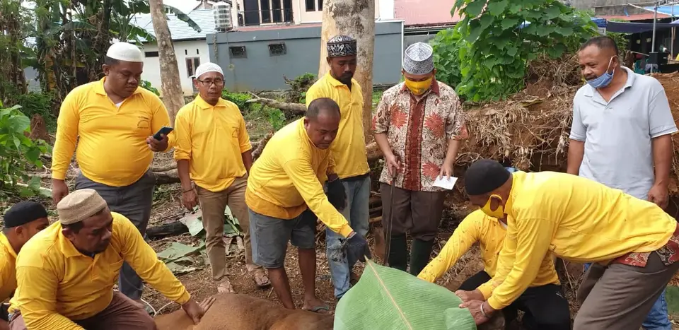 Majelis Ijtihad Qur'ani dan PPHQ Makmur Hamidah Berqurban 18 Ekor Sapi