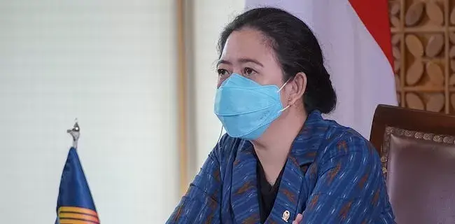 Atasi Sebaran Covid-19, Puan Maharani Ajak Parlemen ASEAN Berperan Lewat Fungsi Legislasi