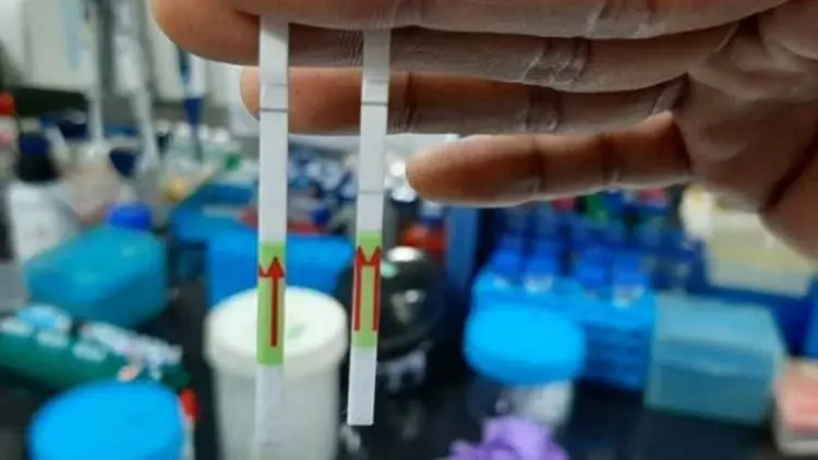 Ilmuwan India Temukan Alat Uji Covid-19 dari Kertas