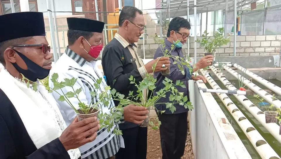 Dukung Ketahanan Pangan Buteng, Amirul Fasilitasi Petani Hidroponik Dapatkan Modal dari CSR BI