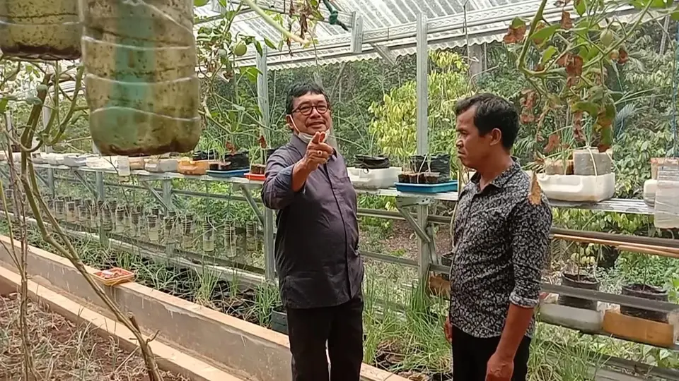 Temukan Petani Muda Inspirasi di Buteng, Amirul Akan Kenalkan ke Menteri Pertanian