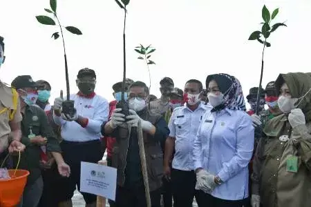 Dukung Program Pemulihan Ekonomi Nasional, Pemprov Sultra Tanam Mangrove di Lahan 1.000 Hektare