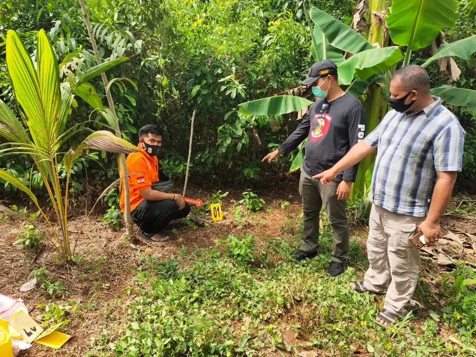 Pesta Miras Berujung Petaka, Warga Lasalimu Tewas Tersengat Listrik Jeratan Babi