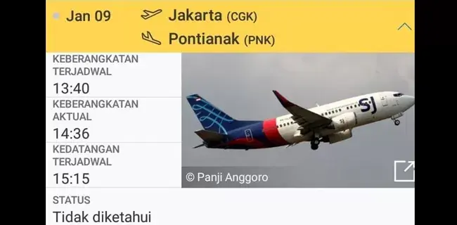Total Penumpang Pesawat Sriwijaya Air SJ-I82 Sebanyak 59 Orang, Lima Anak-anak