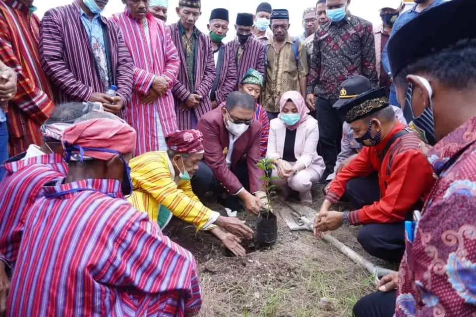 Arusani Serahkan Bantuan Ketinting dan Tanam 1.500 Bibit Jeruk Siompu