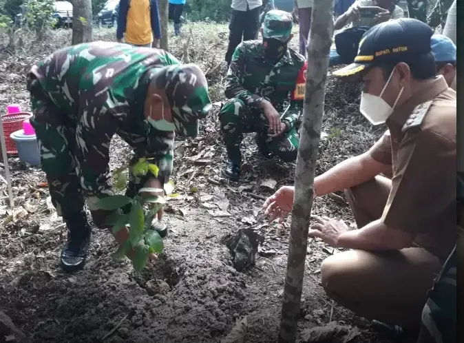 Tak Hanya Aspal, Pemkab Buton juga Genjot Sektor Pertanian