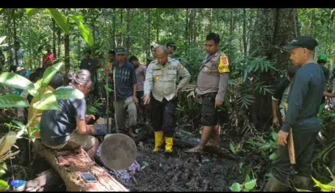Cari Kerang di Bakau, Warga Lasalimu Buton Temukan Tengkorak Manusia