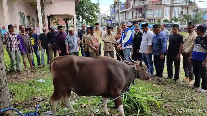 Hewan Kurban Idul Adha 1443 H di Buteng Capai 540 Ekor