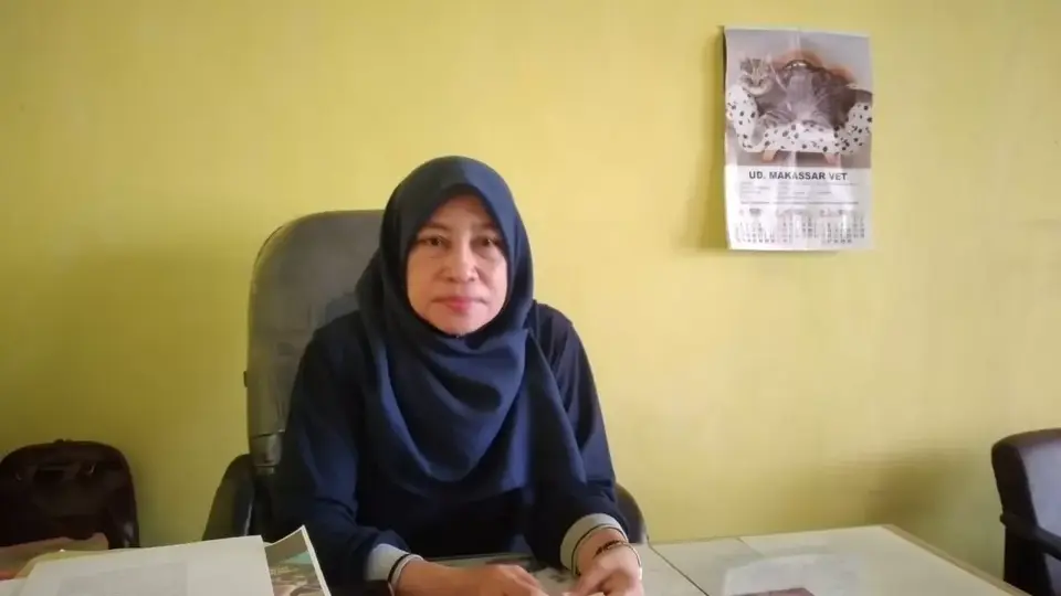 Program Sikomandan Kurang Diminati Peternakan Sapi di Baubau