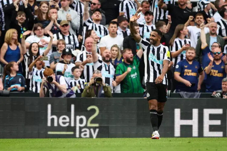 Callum Wilson ke Piala Dunia 2022 Qatar
