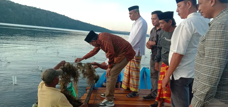 Pj Bupati Buteng Panen Rumput Laut di Desa Doda Bahari