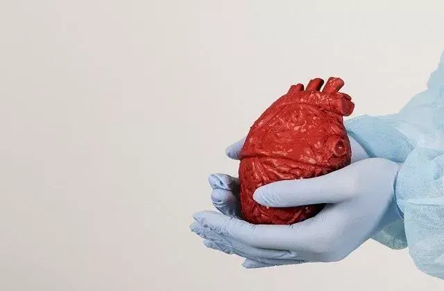 Ketahui Syarat Pendonor dan Pasien Tentang Transplantasi Jantung