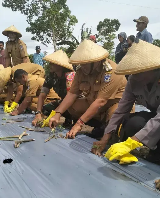 Program Pakim Sisdesa di Muna Bakal Serap Ribuan Tenaga Kerja