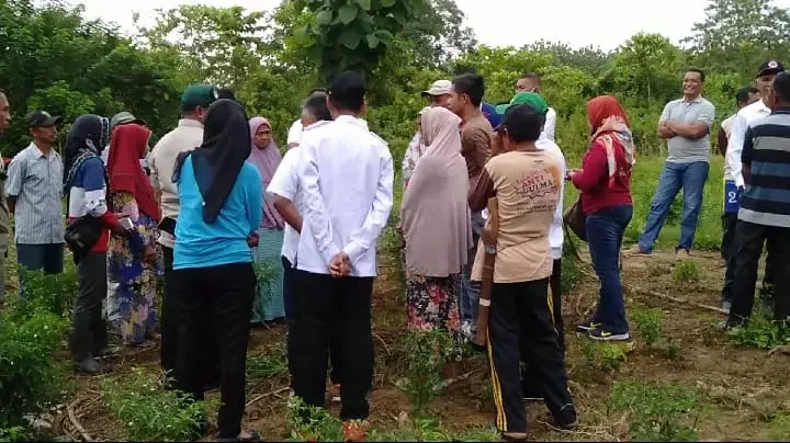 Jawab Keluhan Petani, Dr Bahri Blusukan