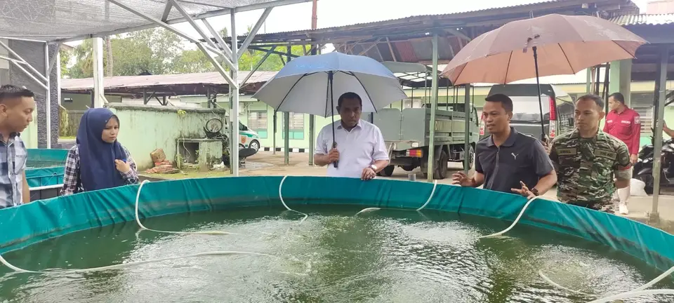 Satu Kolam 1500 Ekor Ikan, Kodim 1413/Buton Gunakan Sistem Bioflok