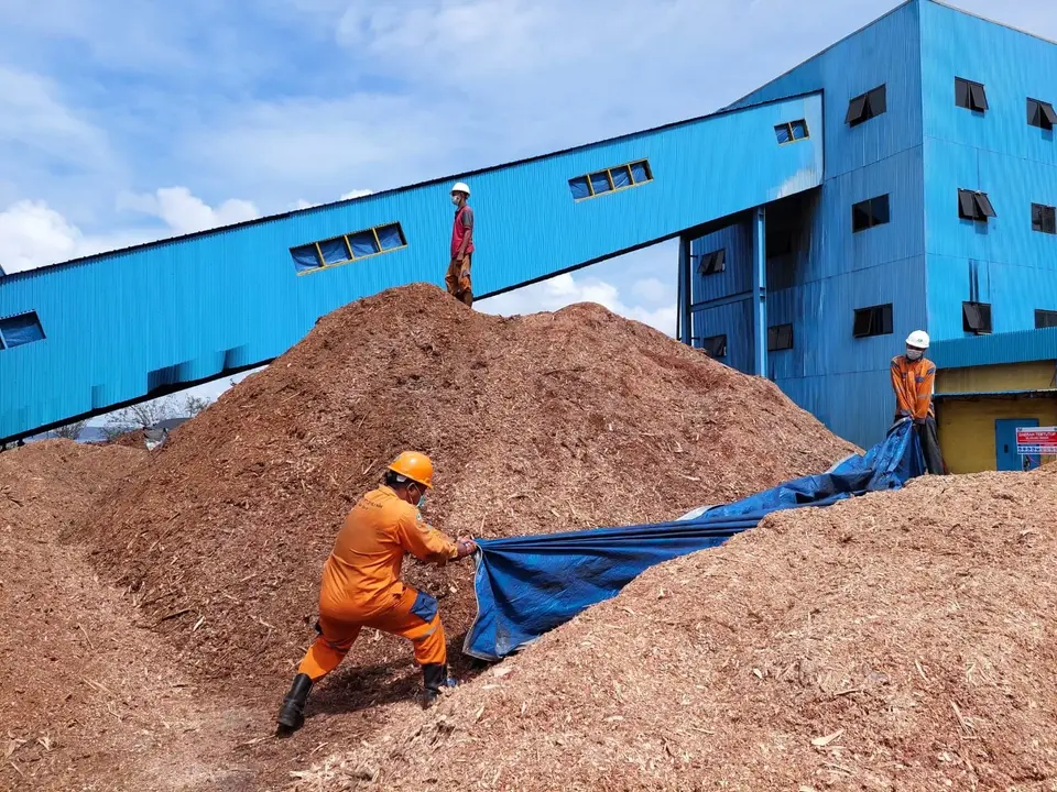 Rupanya Biomassa tidak Hanya untuk Kepentingan Energi, Tapi Lebih Luas