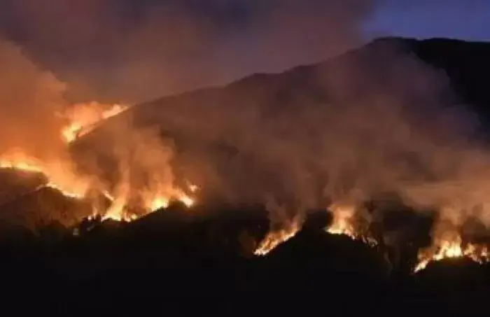 Kebakaran di Kawasan Gunung Bromo Akhirnya Padam setelah Sepekan
