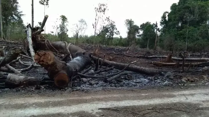 Kemarau, Jadi Ancaman Kekurangan Stok Makan Warga Wakontu