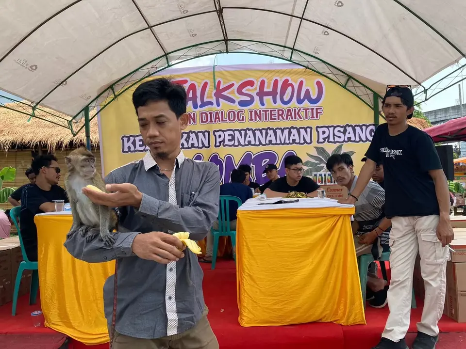 Lomba Makan Pisang, Aktivis Pertaian Tolak Penanaman Pisang Pogram Pj Gubernur