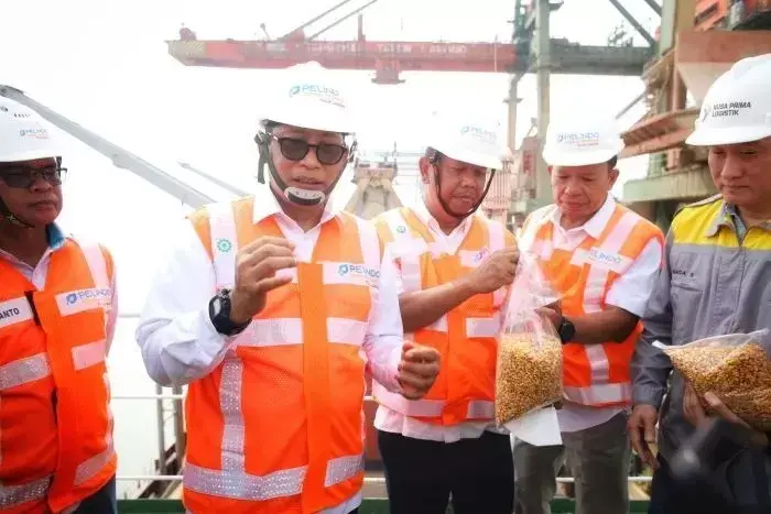Stabilkan Harga di Peternak, Bulog Bakal Gelontorkan Jagung Sebagai Pakan