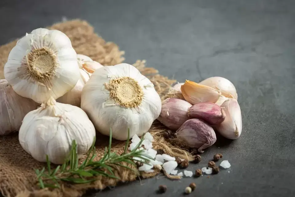 Bukan Sekedar Bahan Masakan, Iini Manfaat Lain Konsumsi Bawang Putih!