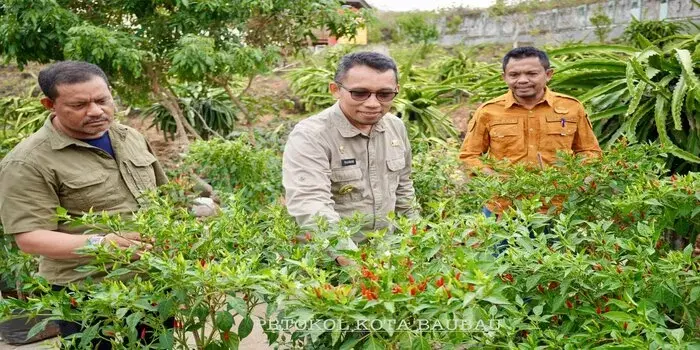 Harga Naik, Disperindag Pastikan Stok Cabai Tersedia