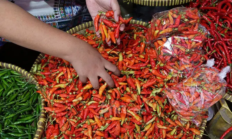 Makin Pedas, Harga Cabai Melonjak 50 Persen di atas Acuan Pemerintah
