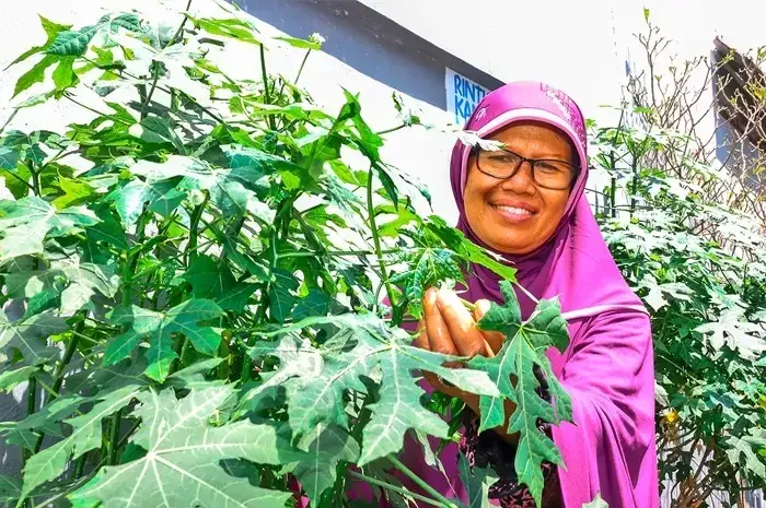 Simak 8 Manfaat Daun Pepaya Bagi Kesehatan Tubuh