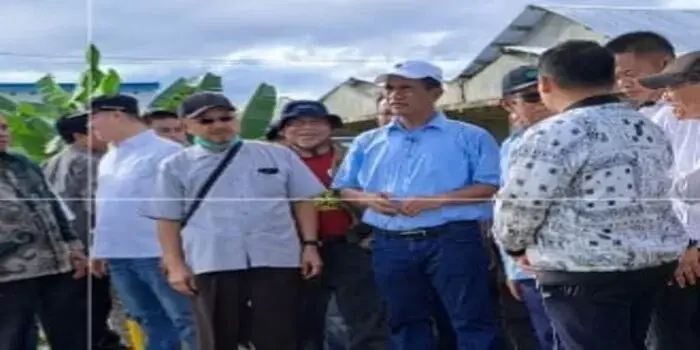 Hari Libur pun Mentan Andi Amran Tetap Kerja dan Tinjau Areal Tanaman Padi di Sulsel