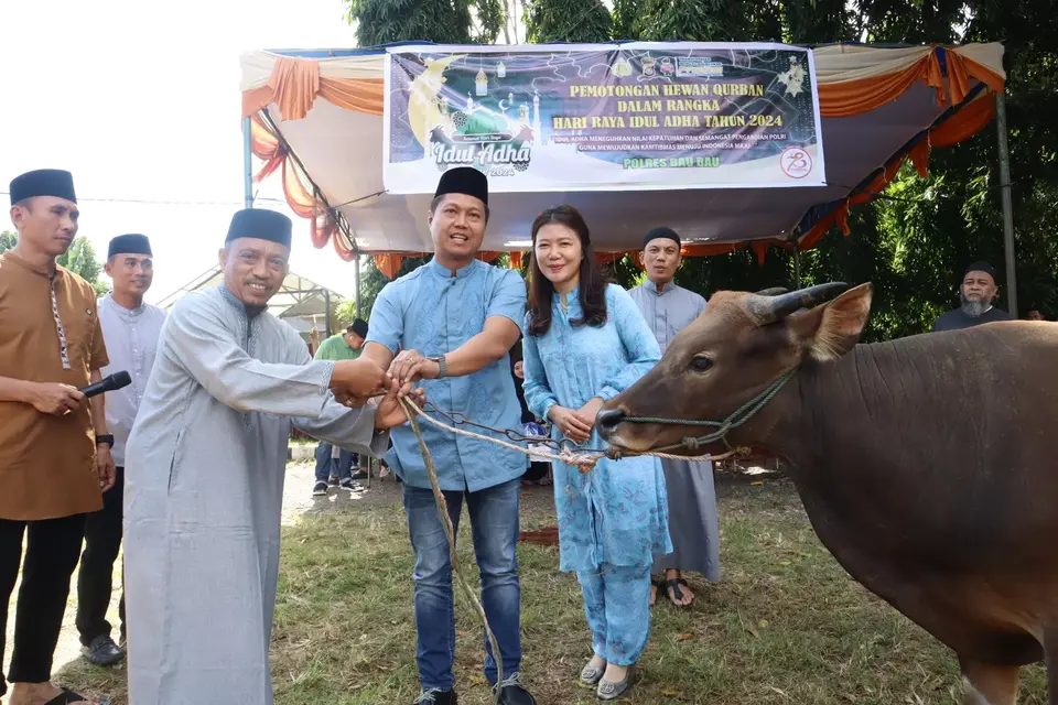 Polres Baubau Sembelih 25 Ekor Sapi