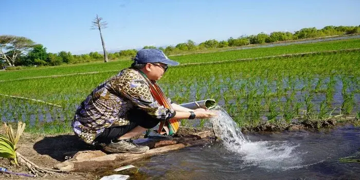 Produksi naik bulan Agustus, September dan Oktober, Program pompanisasi berhasil