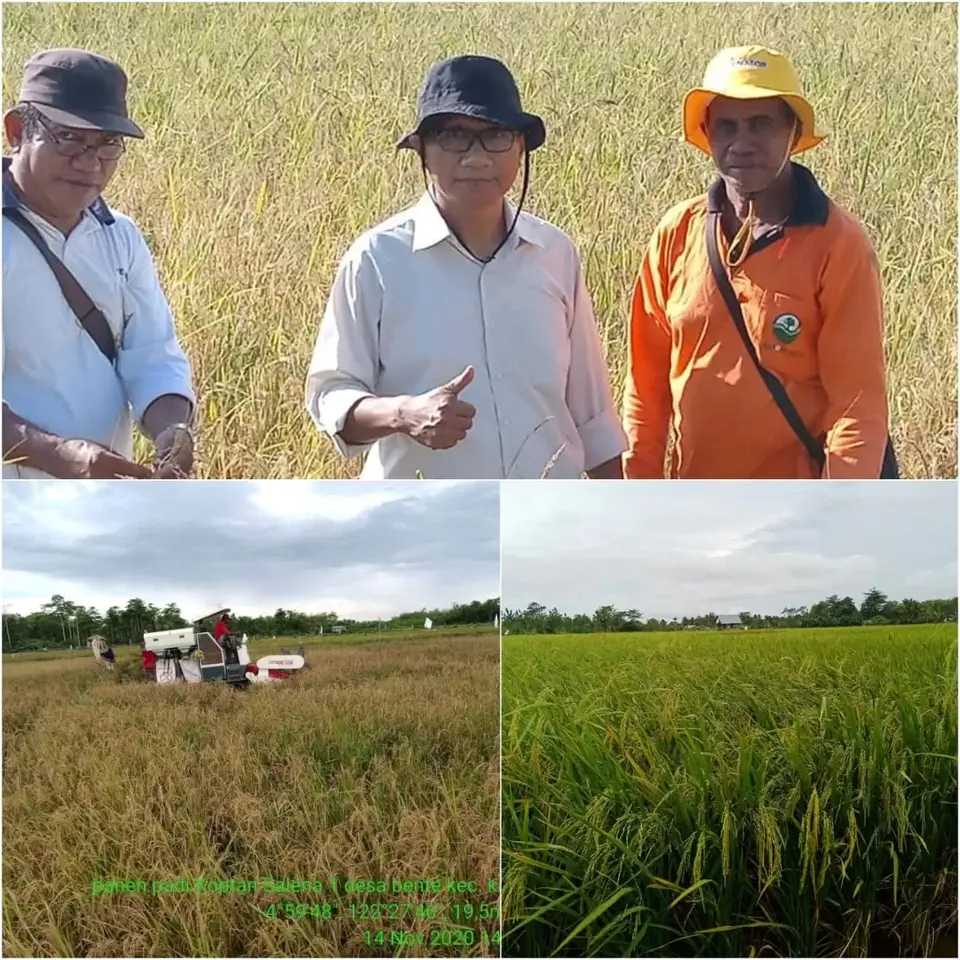 Sukseskan Program Asta Cita Presiden Prabowo Pemda Muna Siapkan Lahan 3.000 Ha