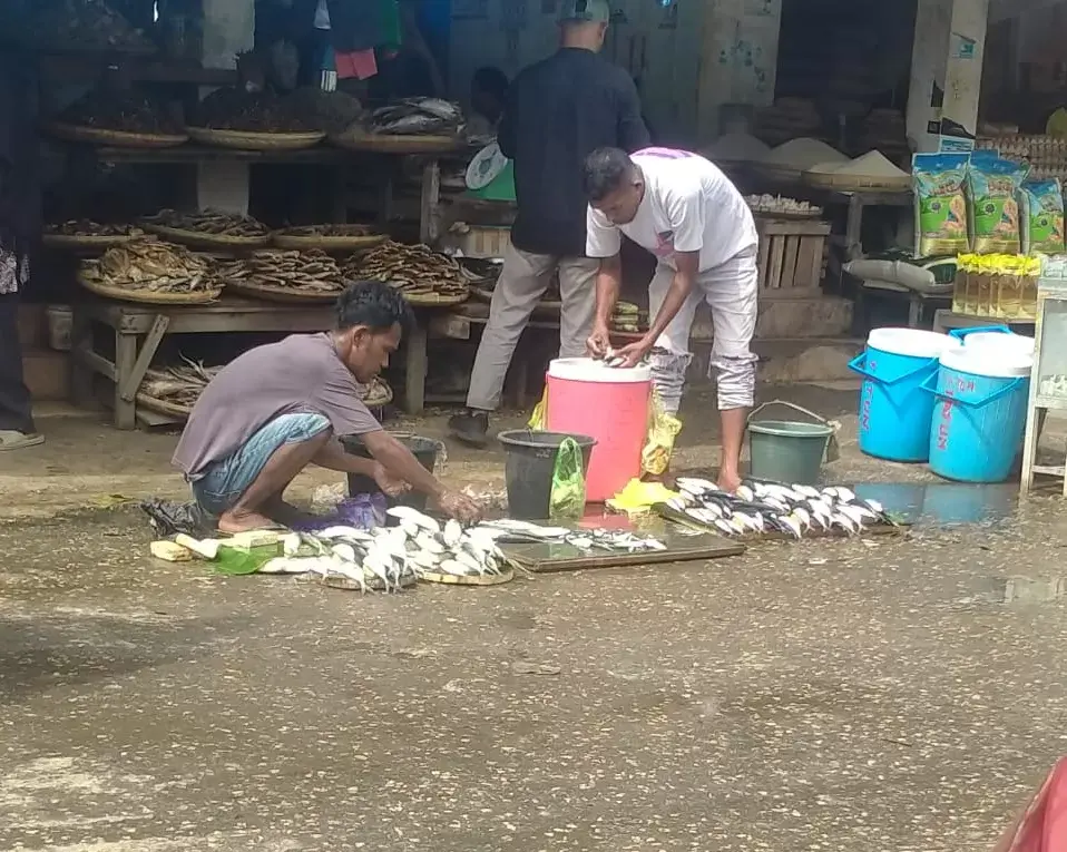 Angin Kencang, Harga Ikan Melambung Tinggi