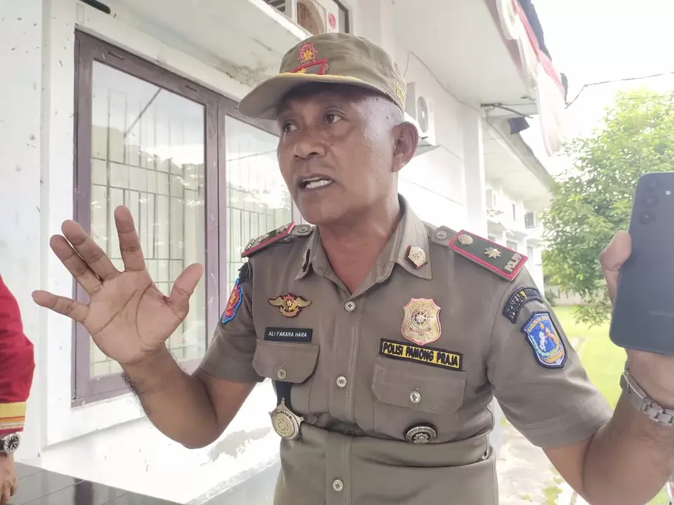 Laksanakan Perintah Wabup, Dalam Waktu Dekat Pol PP Muna Akan Menertibkan Hewan Ternak Di Jalan Raya