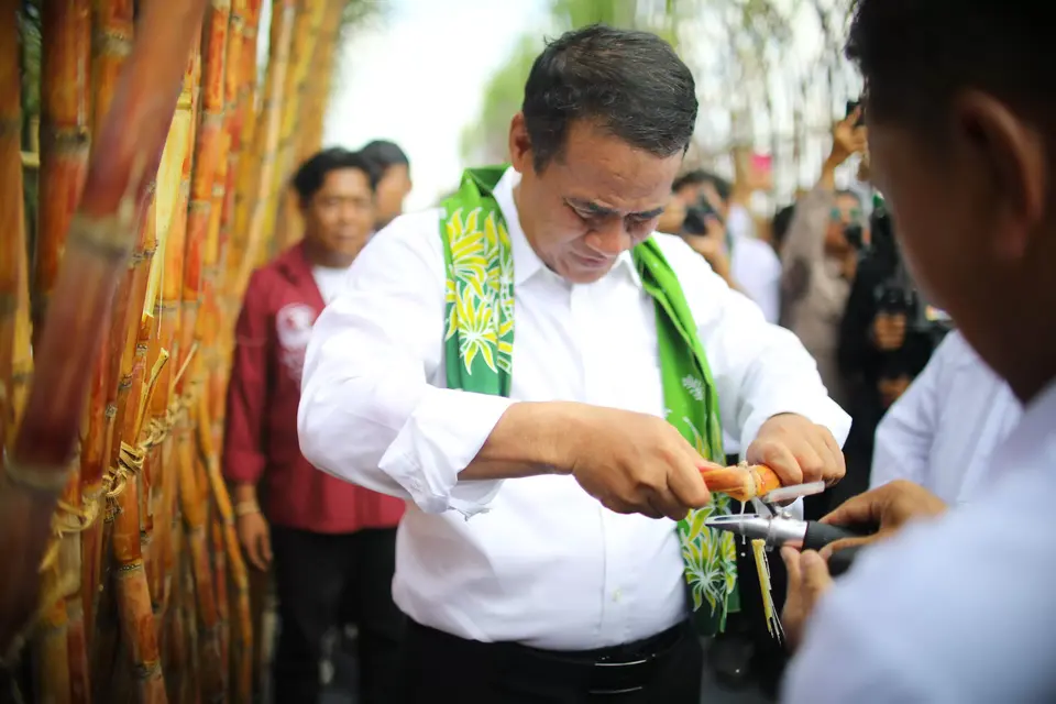 Mentan Amran Beberkan 6 Strategi Kunci Capai Swasembada Gula Nasional