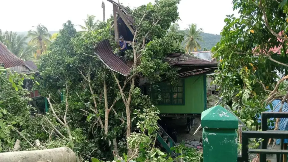 Cuaca Ekstrem, Pohon Tumbang Timpah Satu Rumah Warga Sampolawa