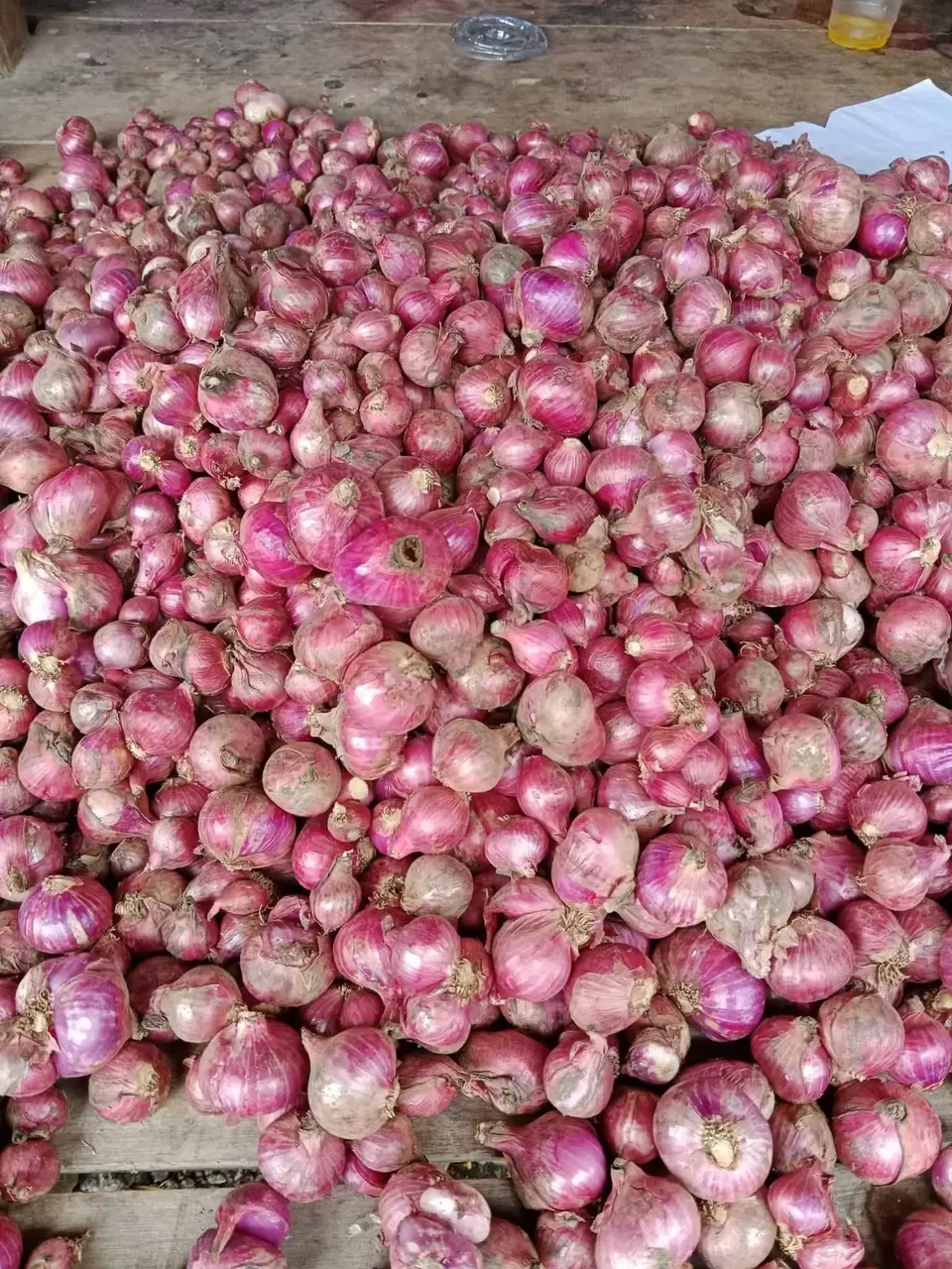 Harga Bawang Merah Perkilonya Tembus Rp 63 Ribu