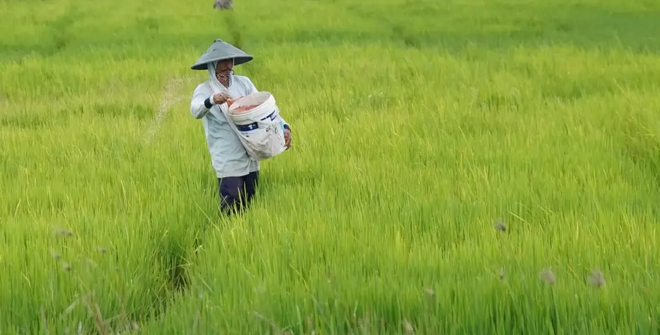 Kepuasan Petani Terhadap Kinerja Kementerian Pertanian Capai 84 Persen