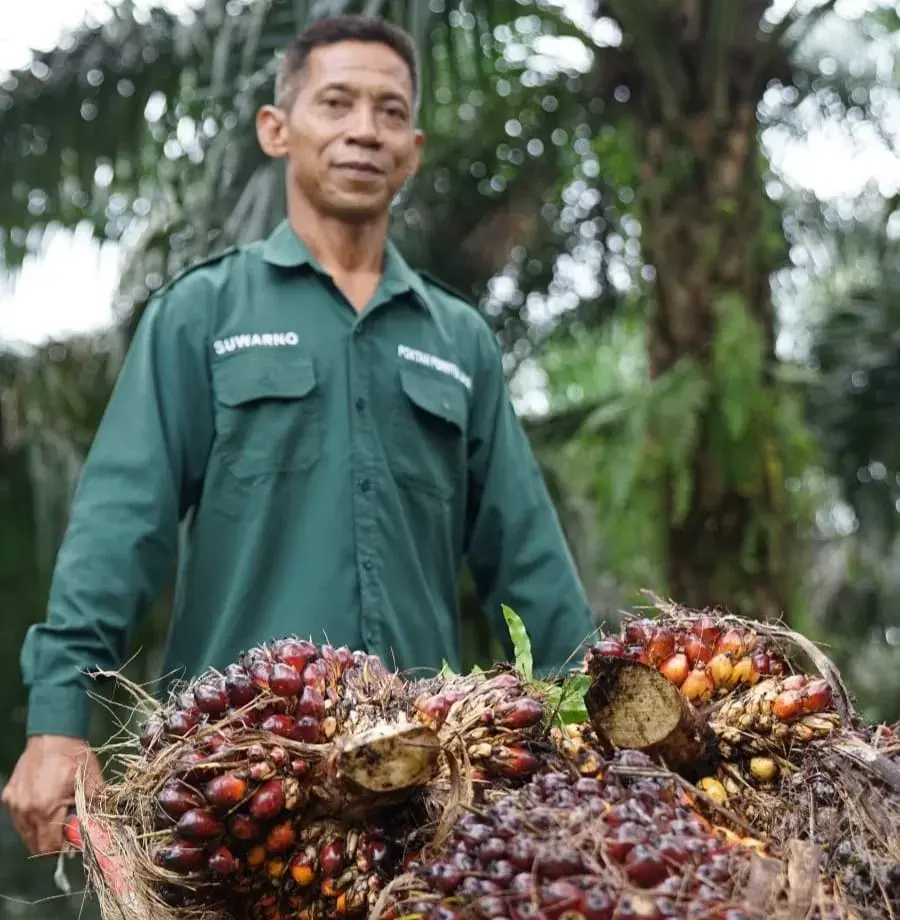 BPS Catat NTP Februari 2026 Tembus 125,45, Mentan Amran: Cetak Rekor Baru